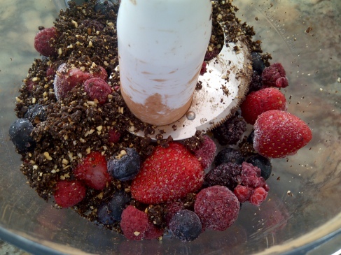 Sorbet: frozen fruit & mix-in's in the blender